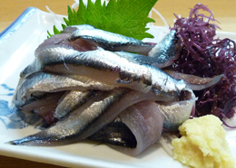 小イワシの刺身