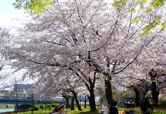 京橋川