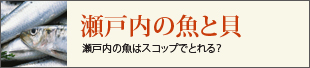 瀬戸内の魚と貝